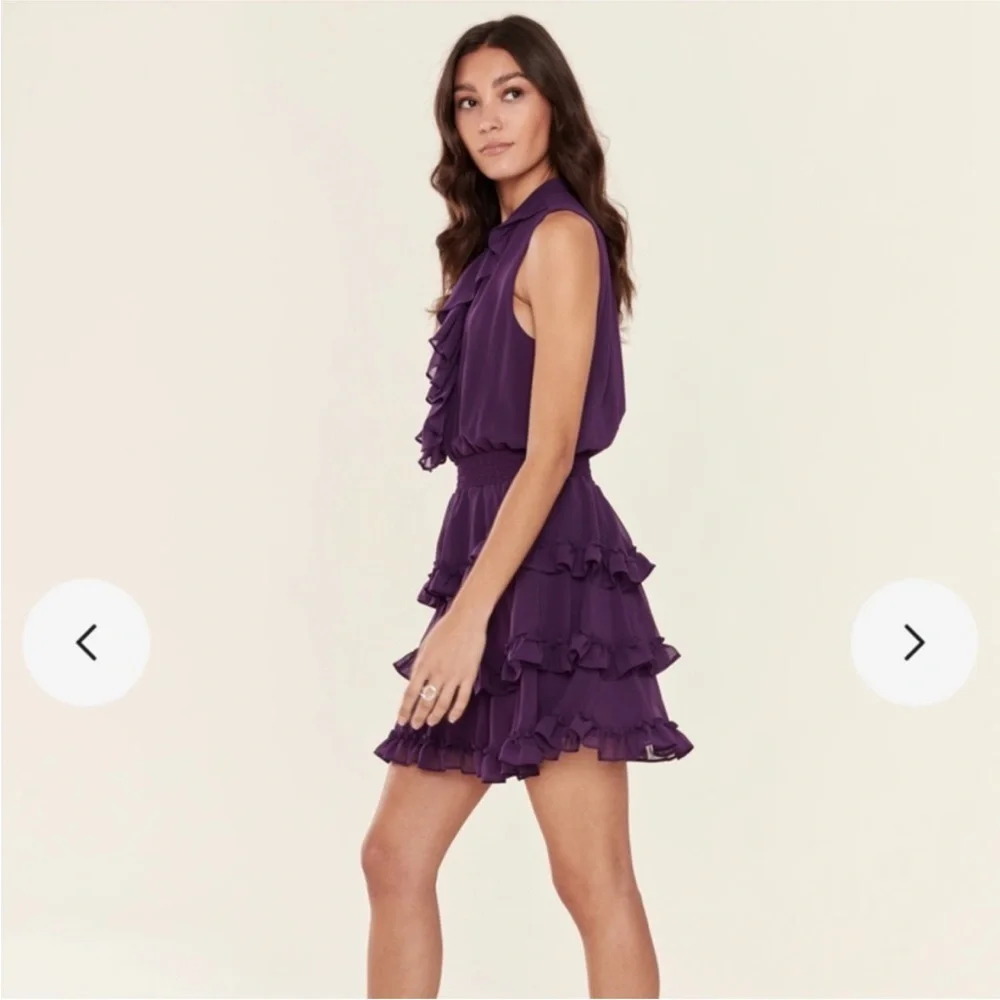 MISA Los Angeles Imelda Ruffle Tiered Mini Dress Purple Sleeveless Medium - Picture 4 of 15